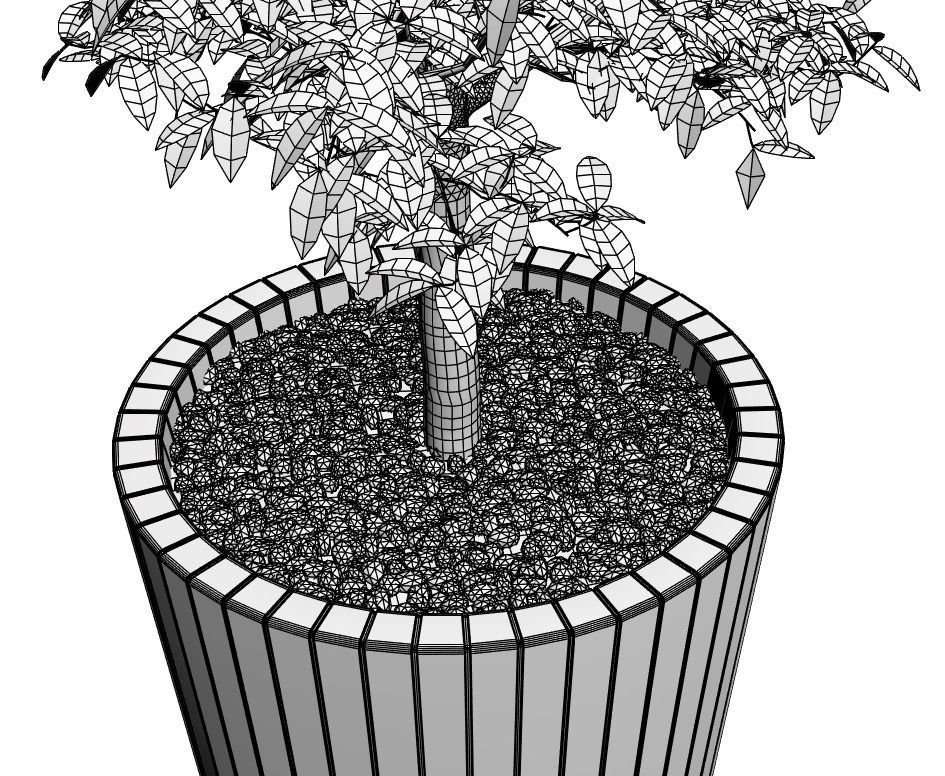 Young tree in tall wooden pot 3D model_6