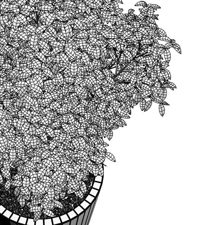 Young tree in tall wooden pot 3D model_4