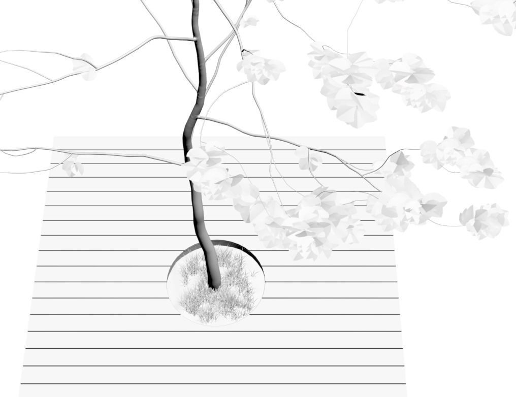 Minimalistic young tree on wooden base 3D model_3
