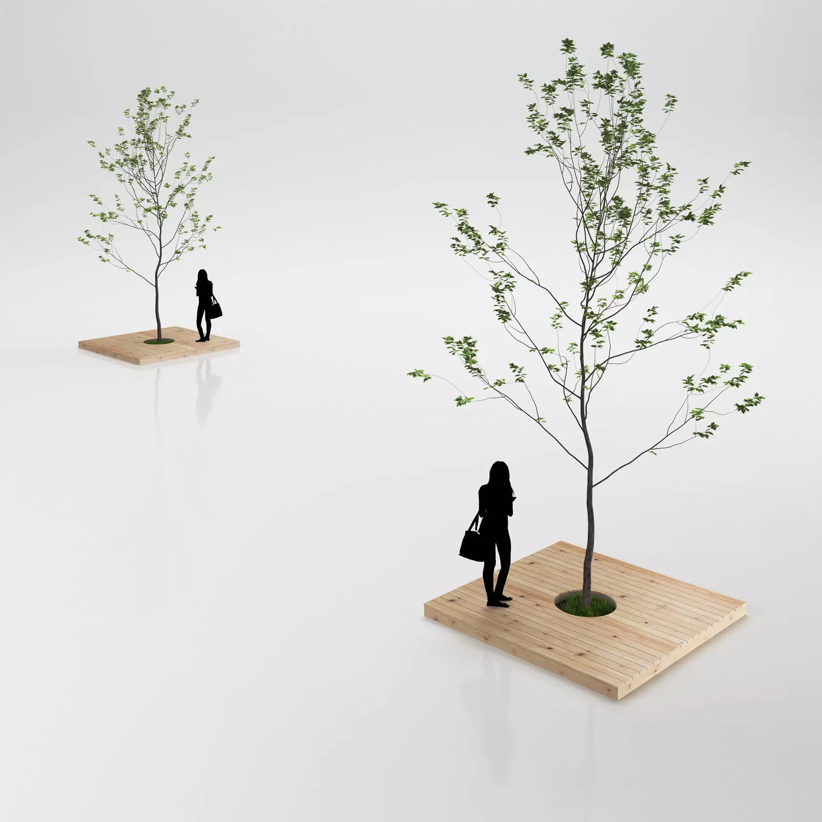 Minimalistic young tree on wooden base 3D model_0