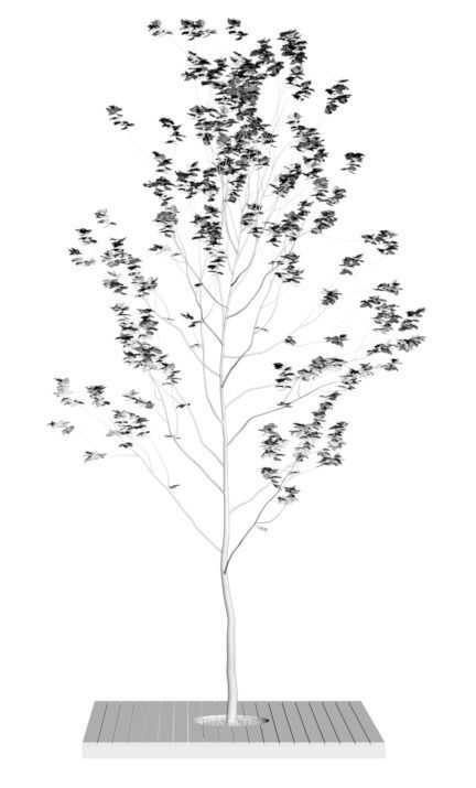 Minimalistic young tree on wooden base 3D model_1