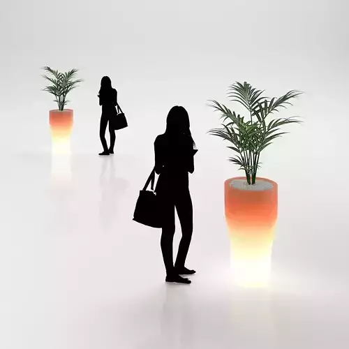 Young palm in illuminated pot