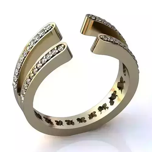 Luxurious Ring