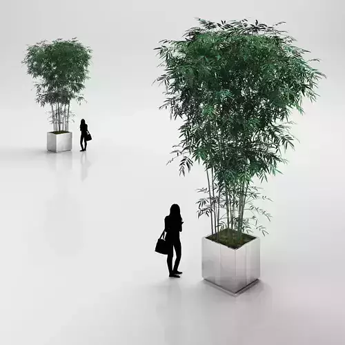 Young bamboo bunch in steel pot