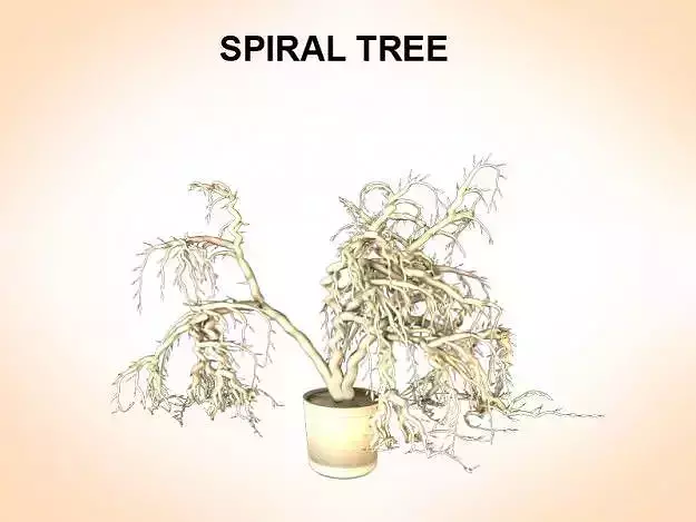 Spiral Tree