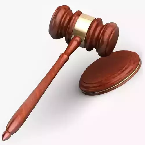Law Gavel