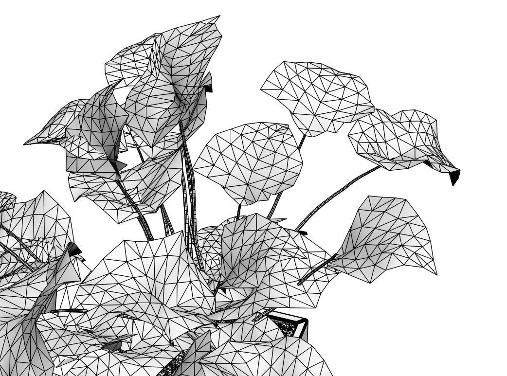 Young palm in modern pot 3D model_5