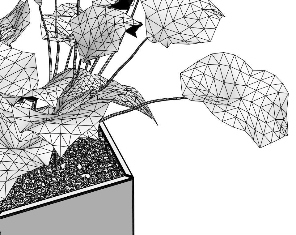 Young palm in modern pot 3D model_6