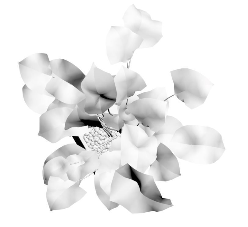 Young palm in modern pot 3D model_3