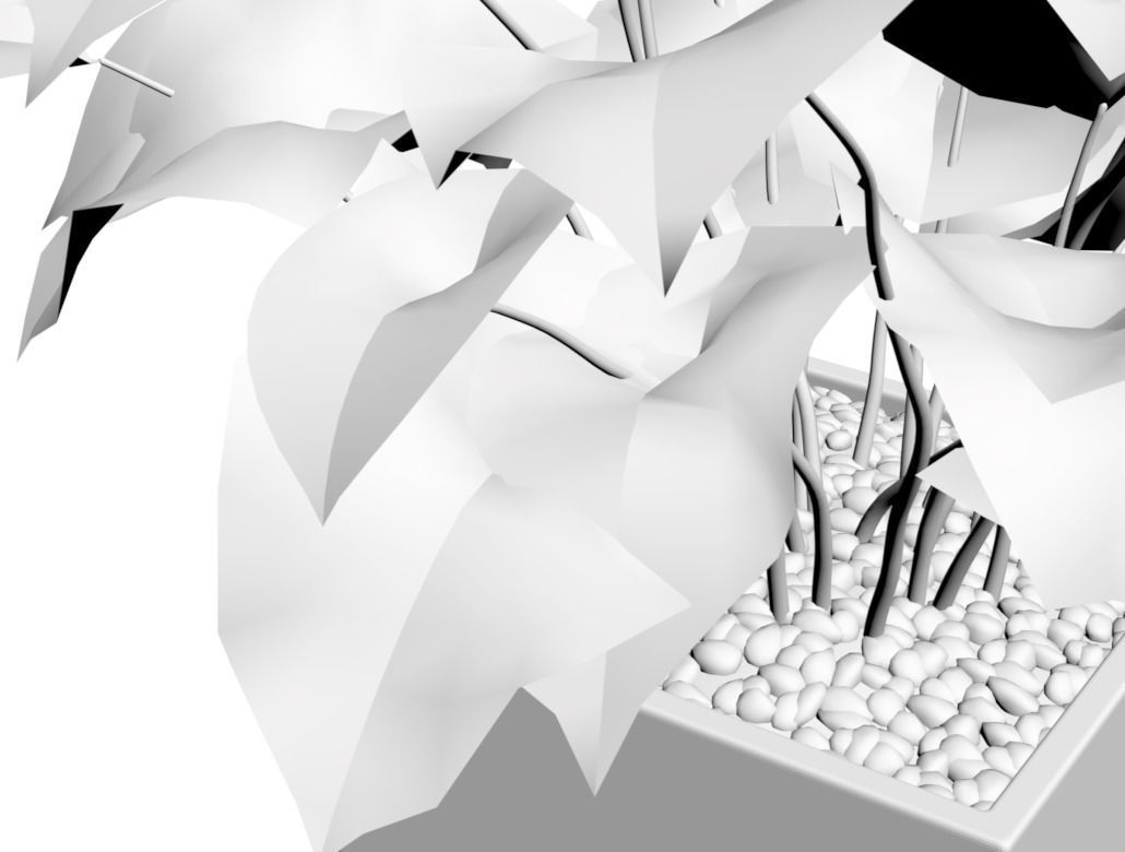 Young palm in modern pot 3D model_2