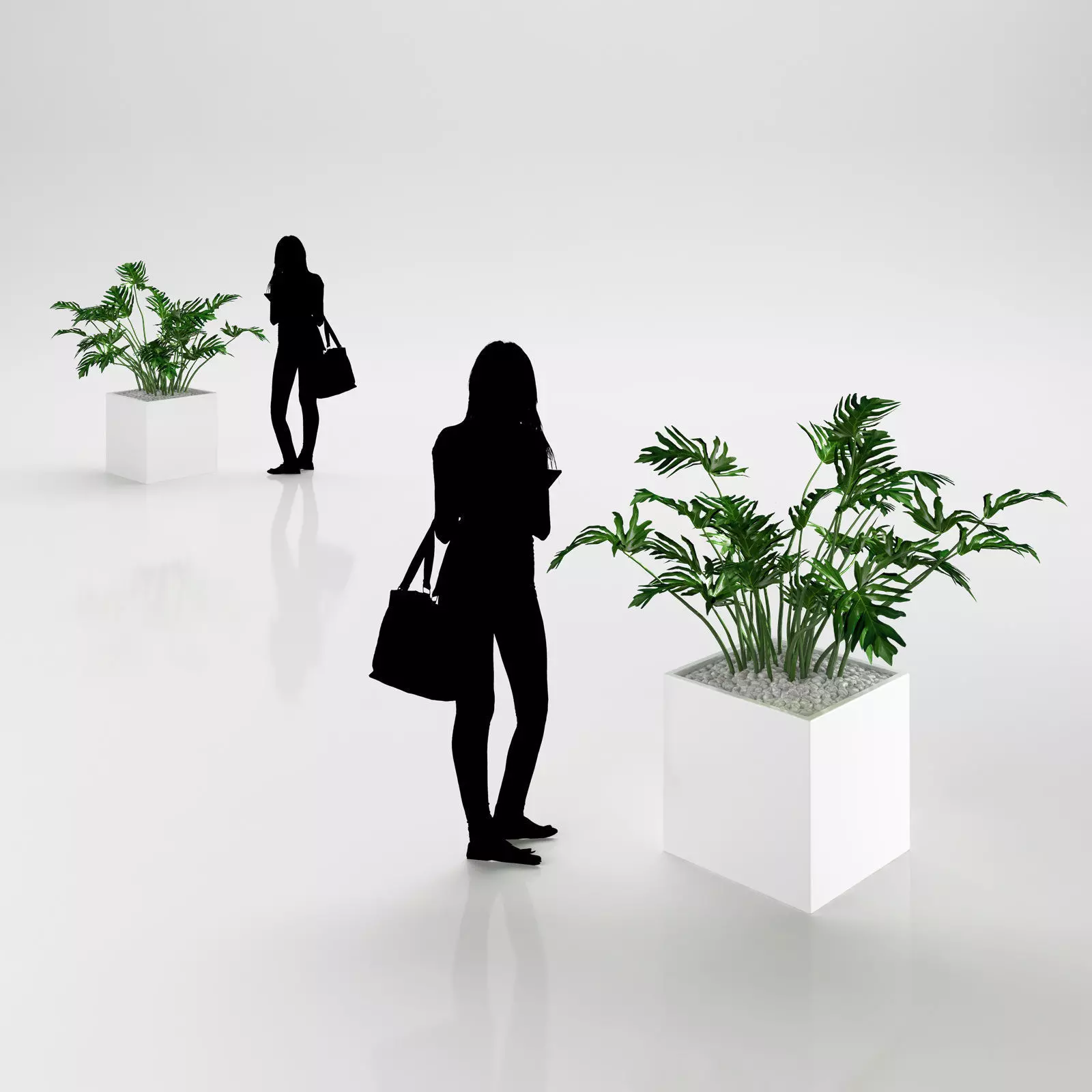 Young palm in modern pot 3D model_0