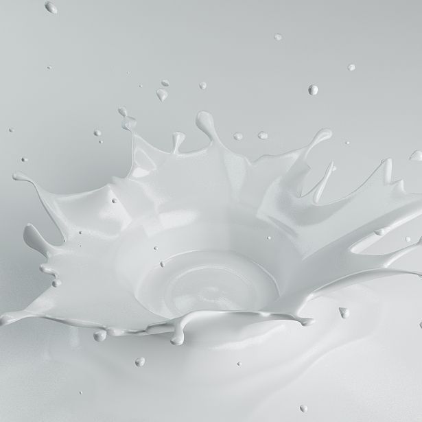 Splash 15 milk 3D model_1