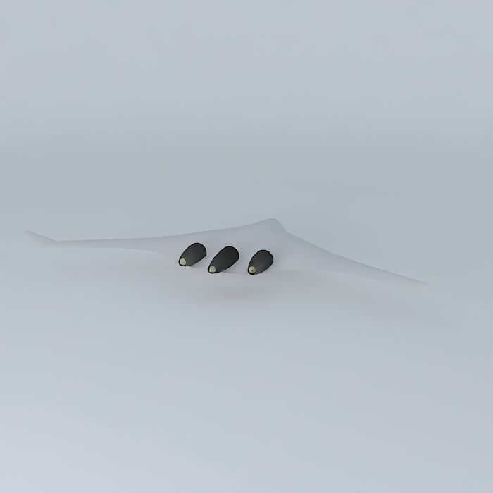 Boeing BWB Free 3D model_1