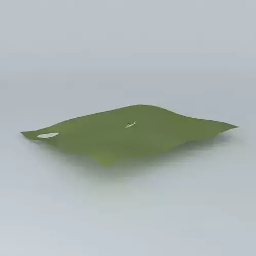 World Dynamics L-200 Airplane Crash