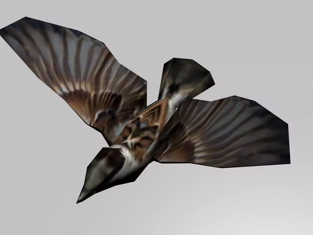 Flying sparrow Low-poly 3D model_0