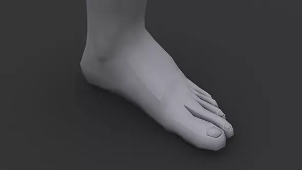 Foot 3D model