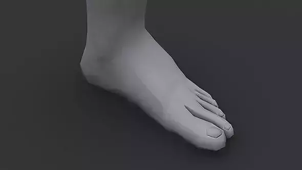 Foot