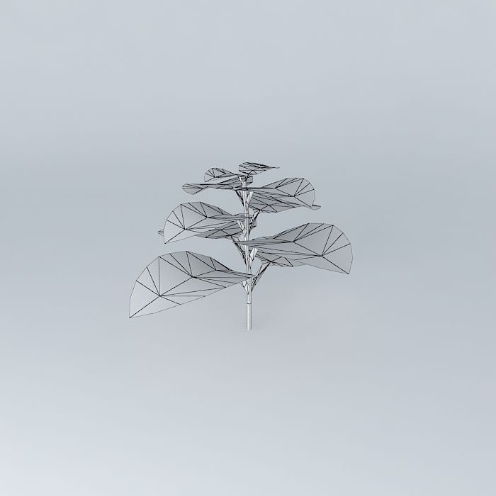 Coleus Hybrid Free 3D model_4