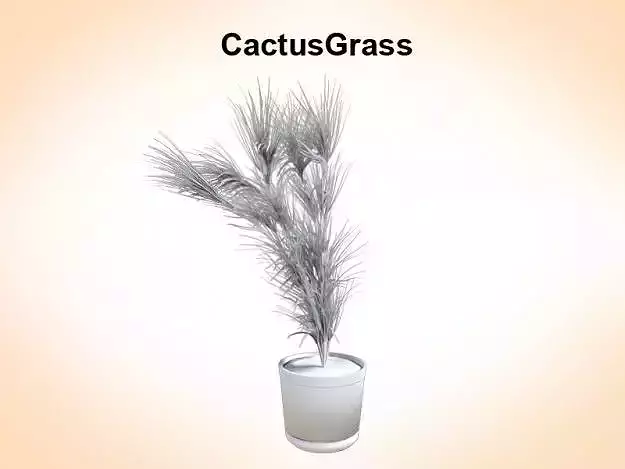 Cactus Grass