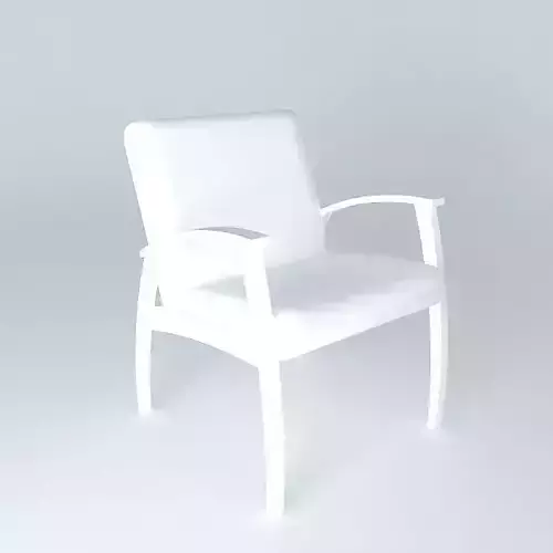 Mitra Arm Chair