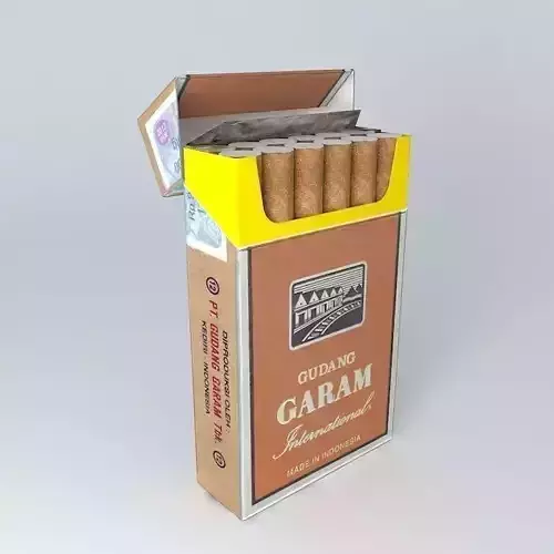 Gudang Garam International Filter Cigarettes