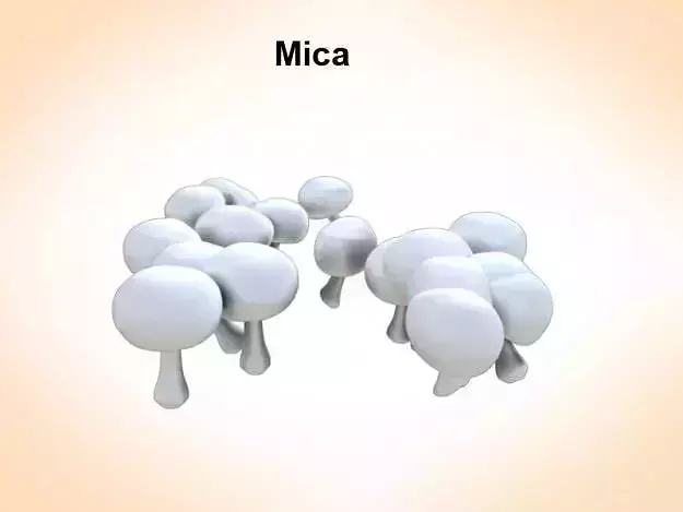 Mica mushrooms 3D model