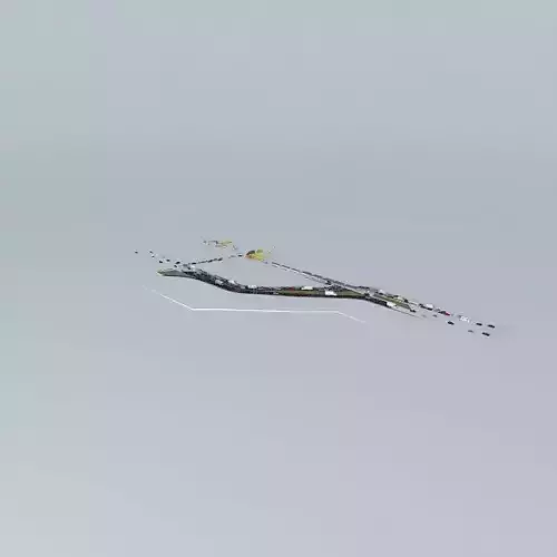 A Very Collisioned Autostrade