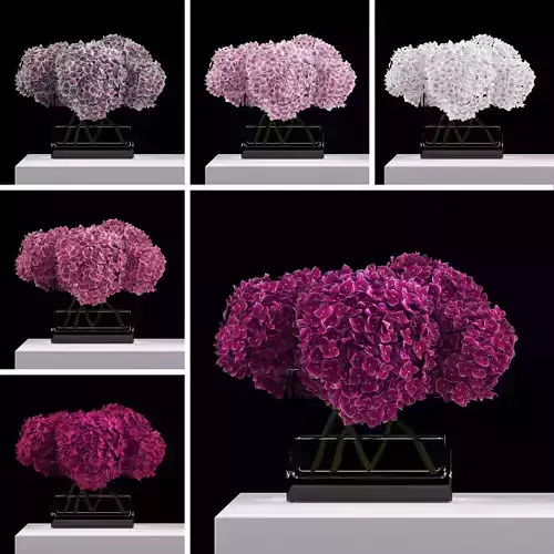 Pink hydrangeas 3D model