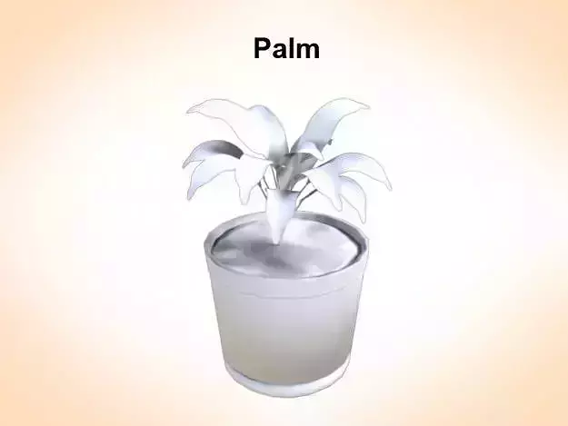 Palm plant in glass