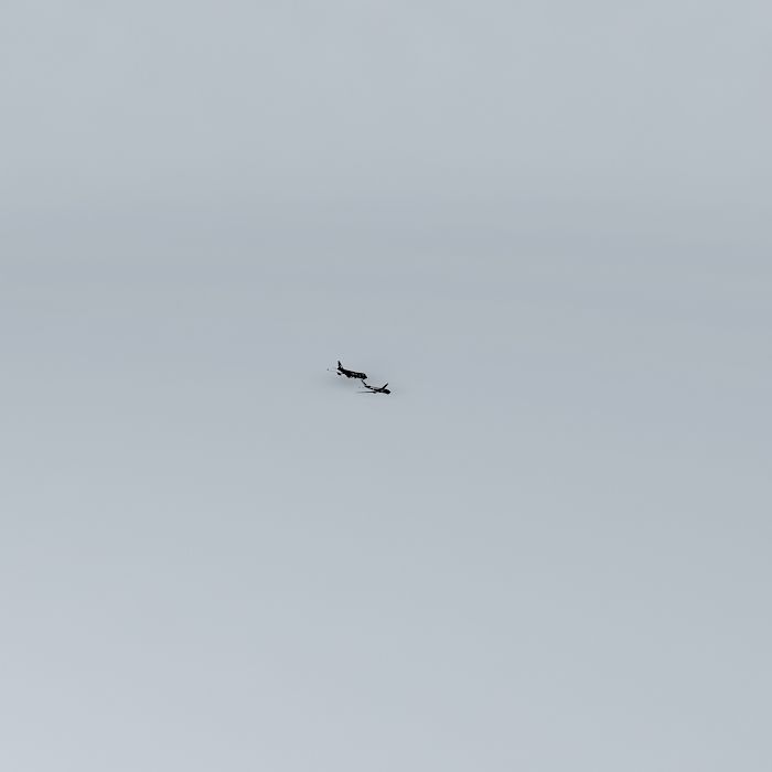 United Airlines Flight 288 and CargoLux Flight 9330F {2015; 3Mb} Free 3D model_3