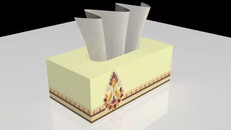 Tissue Box 3D model_0