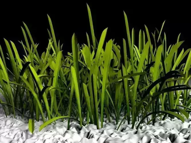 Realistic Grass two plants