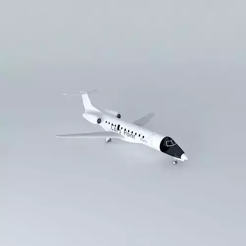 Embraer ERJ 135 Cats Paint