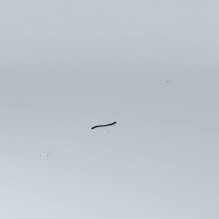 Airplane Runway Free 3D model
