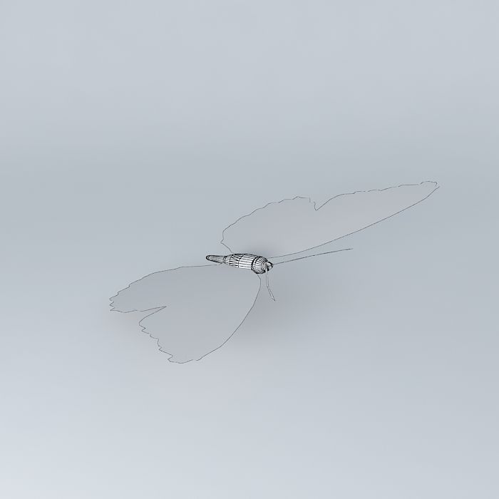 The Viceroy Butterfly 3D model_4