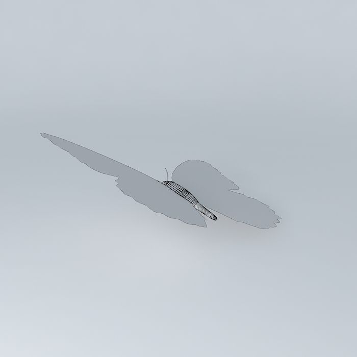 The Viceroy Butterfly 3D model_3