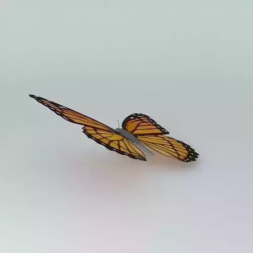 The Viceroy Butterfly  3D model