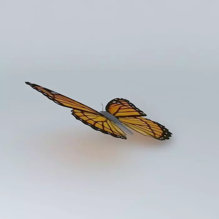 The Viceroy Butterfly 3D model_0