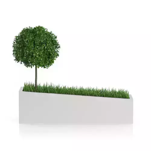 Tree an Grass in Rectangular Planter 3D model
