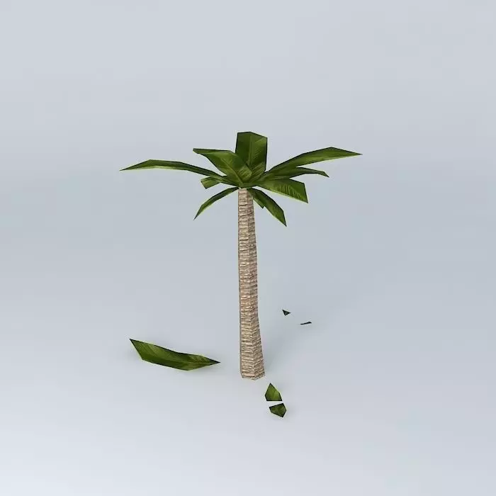 palm tree Free 3D model