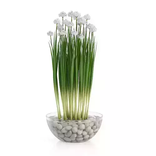 Flowers in Glass Vase