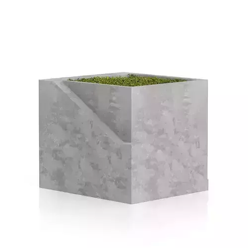 Sqaure Moss Pot 3D model