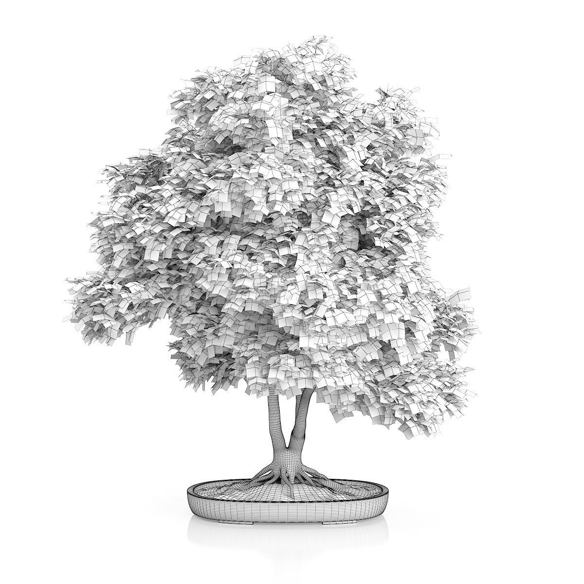 Red Bonsai Tree 3D model_1