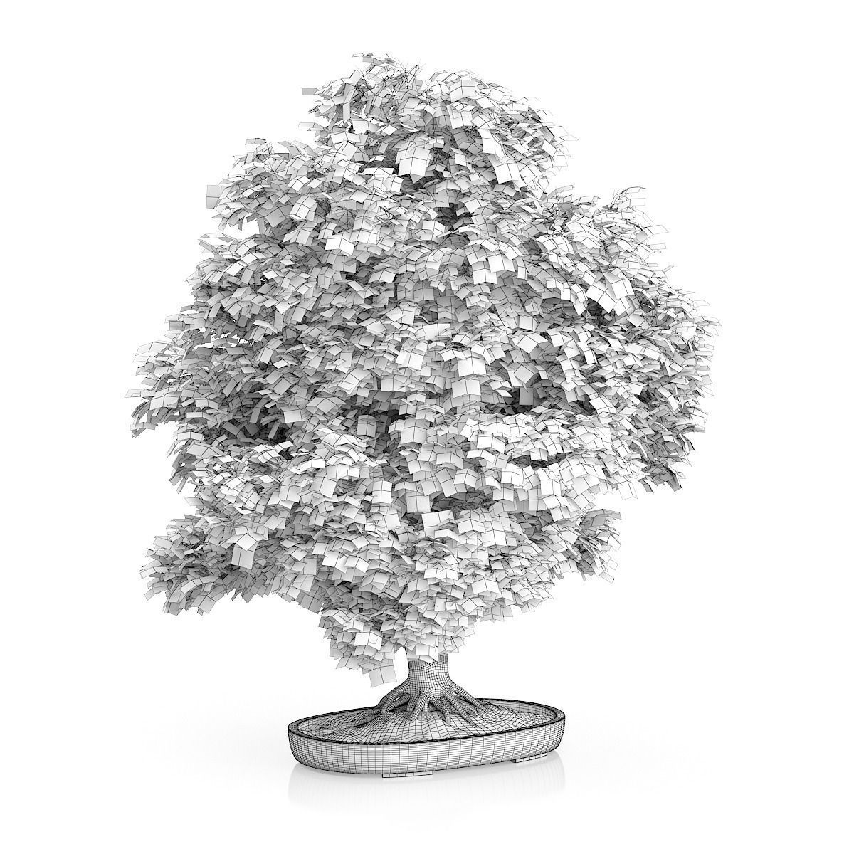 Red Bonsai Tree 3D model_3