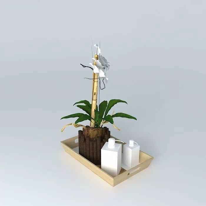 Cup bamboo plant on tray Free 3D model