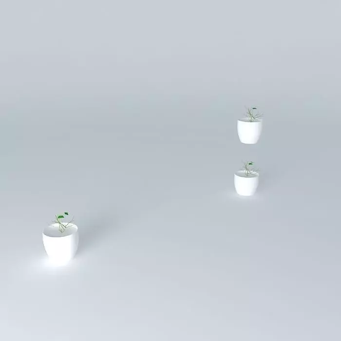 glass 4 plant in pot Free 3D model_0