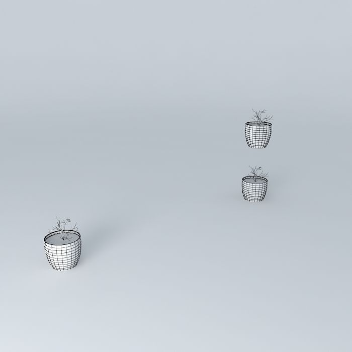 glass 4 plant in pot Free 3D model_3