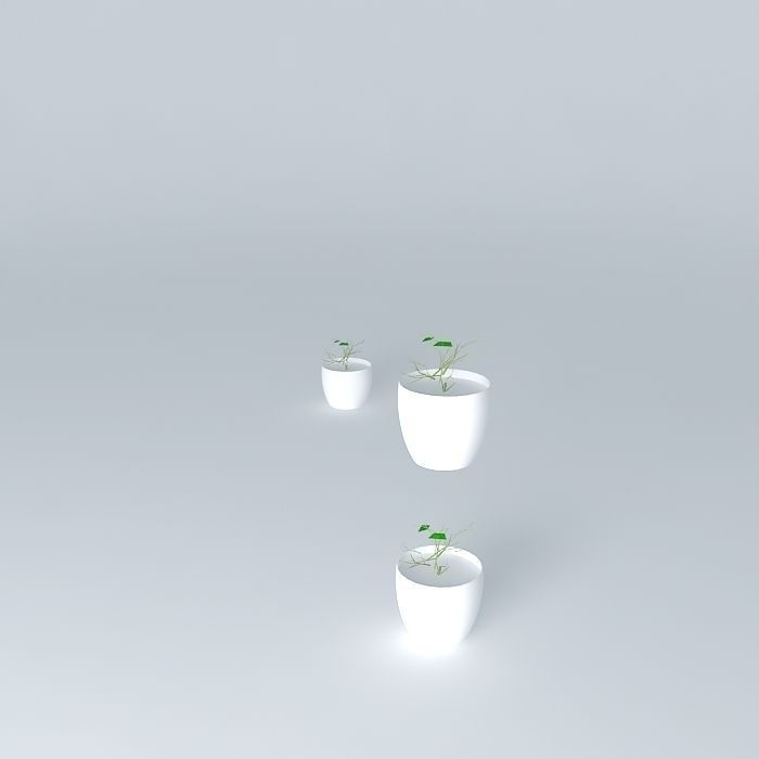 glass 4 plant in pot Free 3D model_2