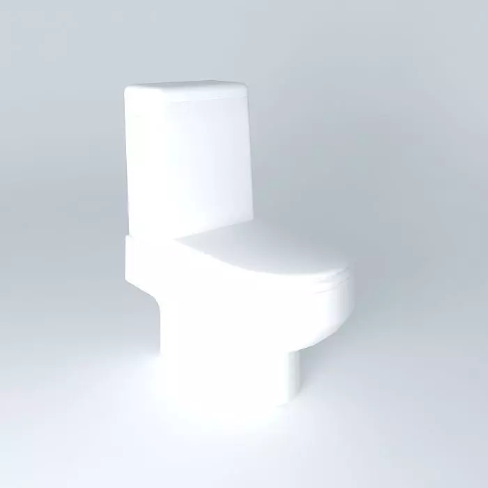 Toilet Free 3D model_0