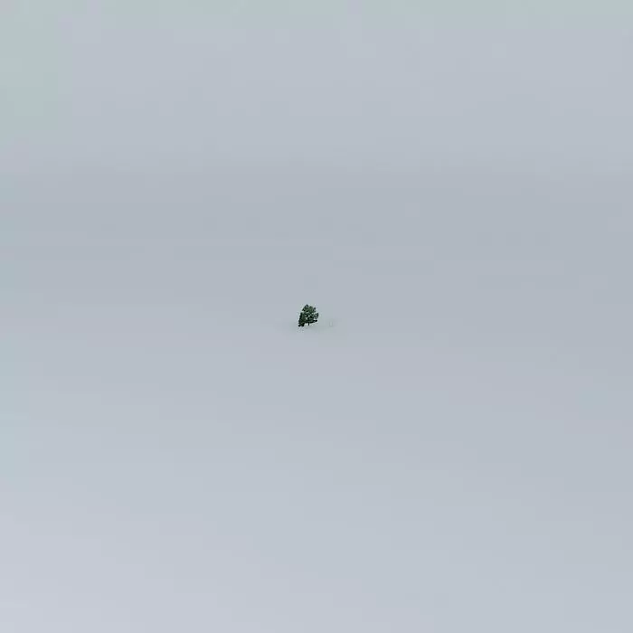 Rain Effect Free 3D model